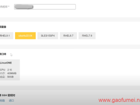 10个可以免费白嫖VPS、云服务器的网站!给大家都罗列出来了….