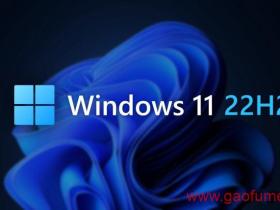 最新原装正版的 Windows 11 系统官方纯净版,免费安装并激活!