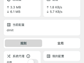 Karing (翻墙连接器,代理工具,梯子工具,网络代理工具)使用教程